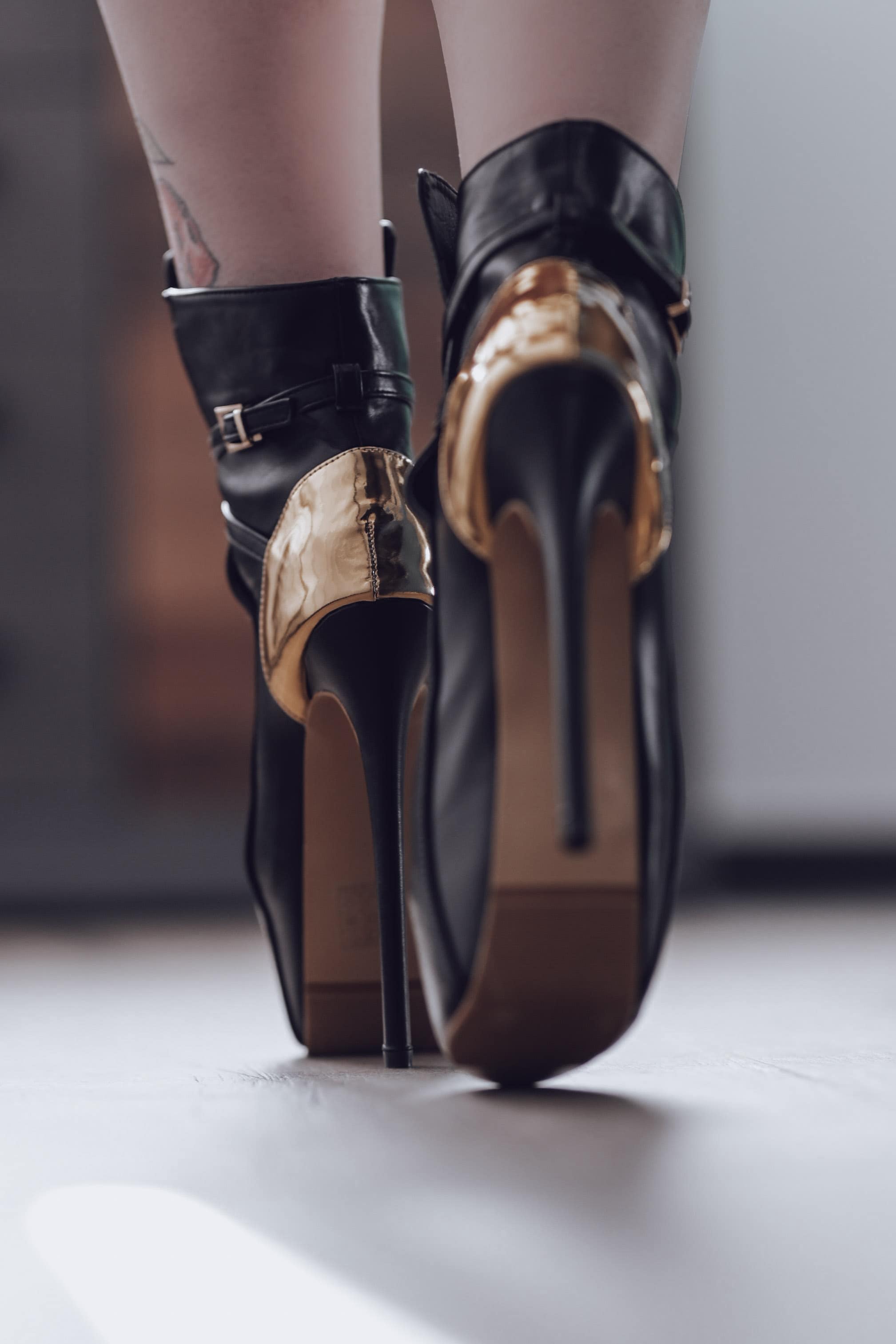 die_mit_den_hunden xxx